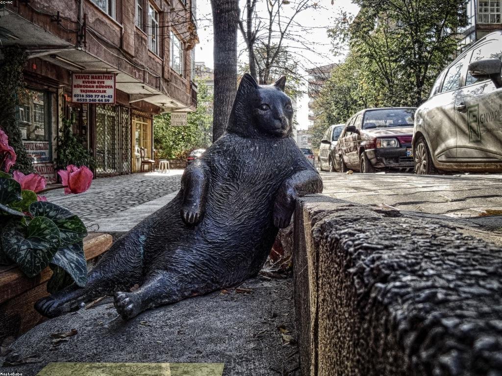 សិល្បៈនៃការបង្ហាញប៉ូកឺរ