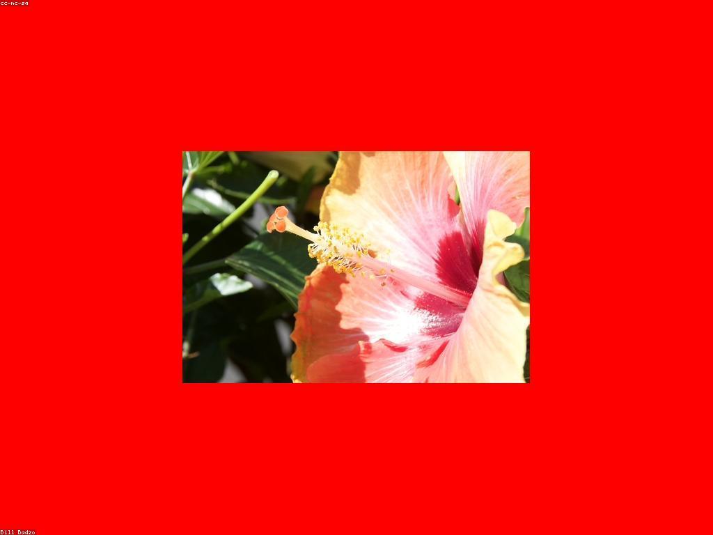 វិធីច្នៃប្រឌិតសម្រាប់ការបង្ហាញប៉ូកឺរ